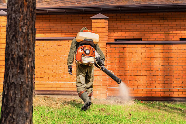 Trusted Bed Bug Control service in Tuba City, AZ - Nex Pest Control